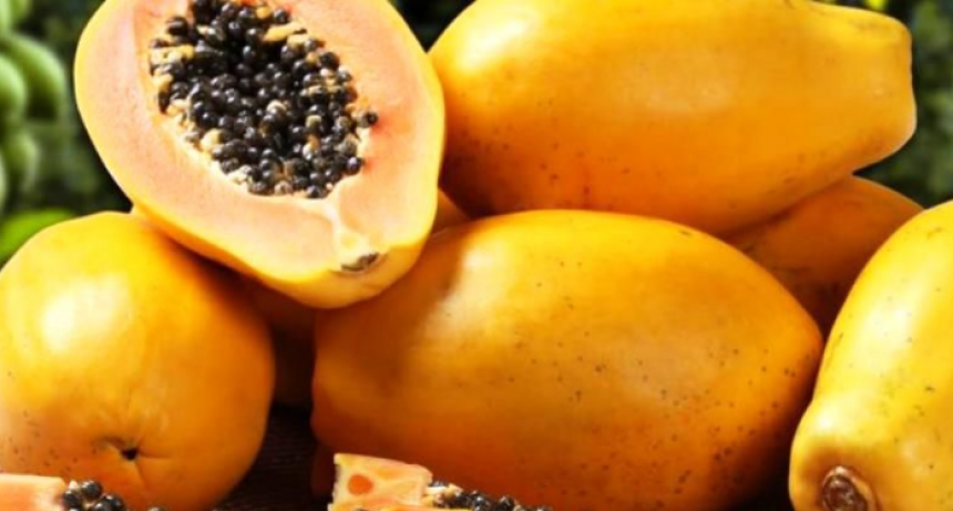Cedeva ejecuta en Tres Lagunas un programa de producción de módulos de papaya y maracuyá