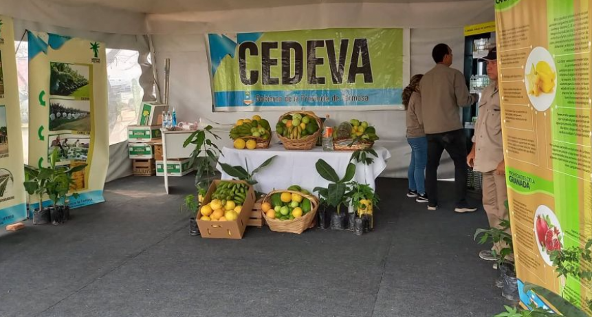 Cedeva expone plantas y frutos obtenidos en sus distintas unidades experimentales