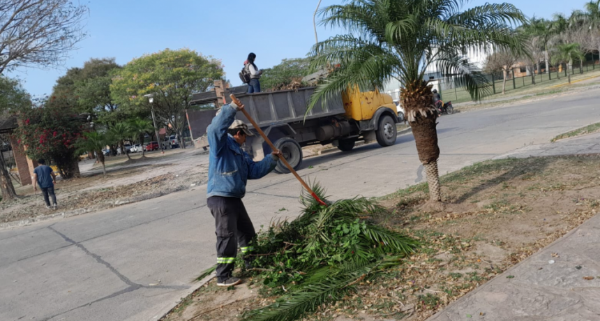 Cuadrillas comunales acentuaron operativos de recolección de residuos no convencionales en diferentes barrios