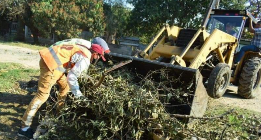 Se realizaron operativos de limpieza integral de predios en distintos barrios