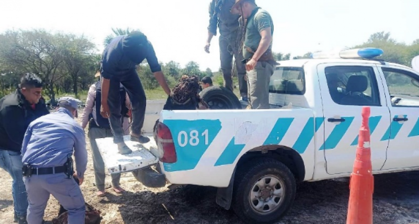 Esclarecen hecho de abigeato calificado y secuestran una camioneta y carne con cuero