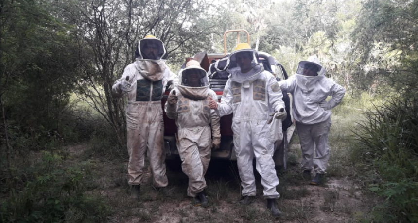 Metas Claras: “Pasión por los dulces insectos”