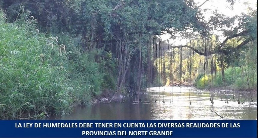 Solicitaron al Congreso Nacional que la Ley de Humedales no impida las actividades producitvas en el Norte Grande