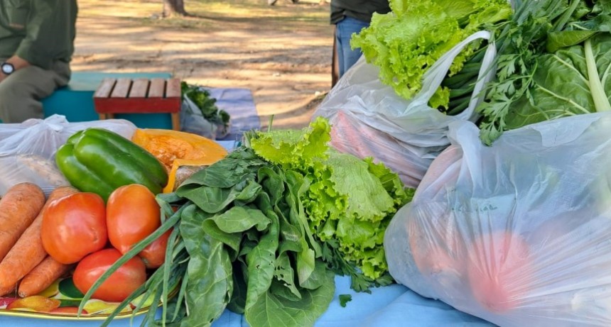 Esta semana se suman más días y puntos de venta de los tradicionales Bolsones Saludables