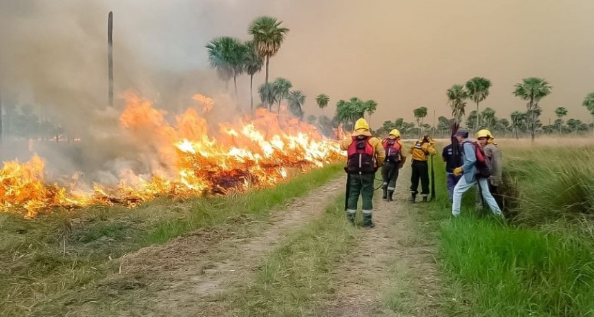 Bomberos extinguieron un incendio de grandes proporciones en Estero Poí