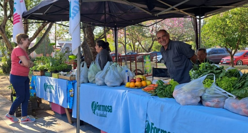 Esta semana vuelven los tradicionales Bolsones Saludables con más puntos de venta