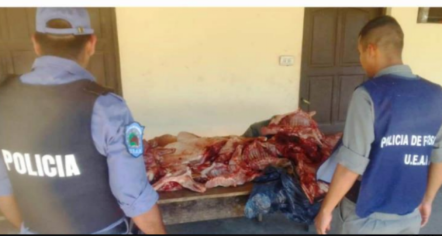 La UEAR Bartolomé de las Casas secuestró la carne de nueve ejemplares de chancho silvestre