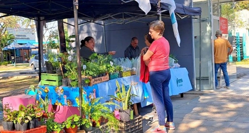 Los bolsones saludables se comercializarán martes, jueves y viernes esta semana