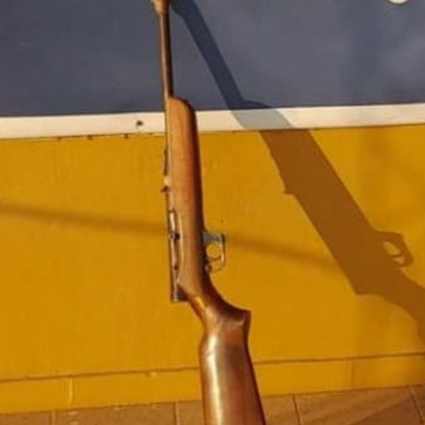 La Policía demoró a dos jóvenes y secuestró una carabina