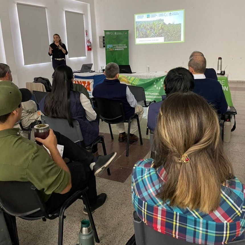 Capacitaron a profesionales en manejo de la chicharrita del maíz
