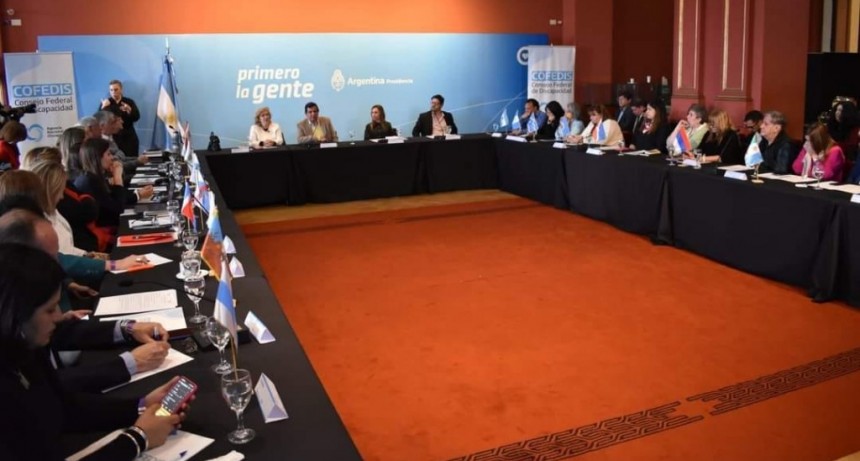 Formosa participó de la 97º asamblea del Consejo Federal de Discapacidad