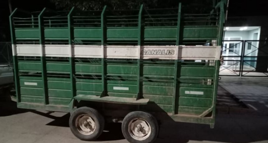 La Policía secuestró un tráiler en el que se transportaban animales sin las documentaciones exigidas