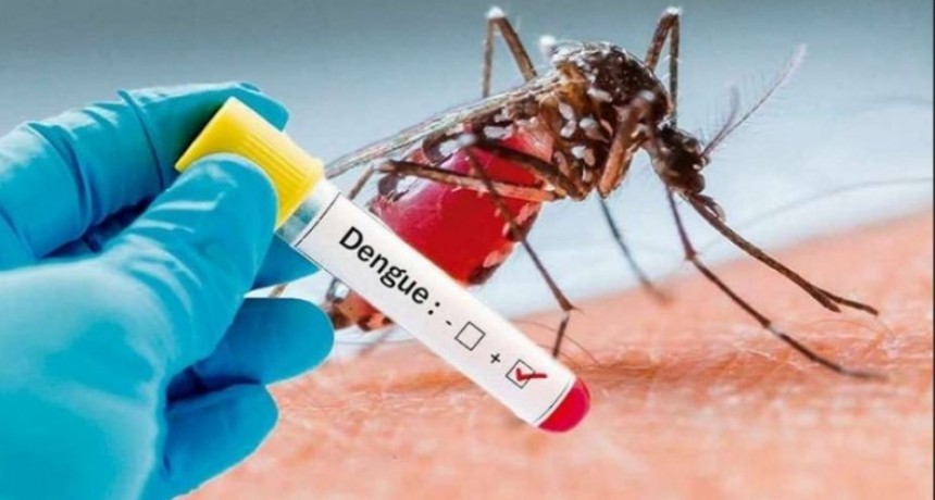 Una vez más los casos de dengue se mantuvieron dentro del promedio registrado en las últimas semanas