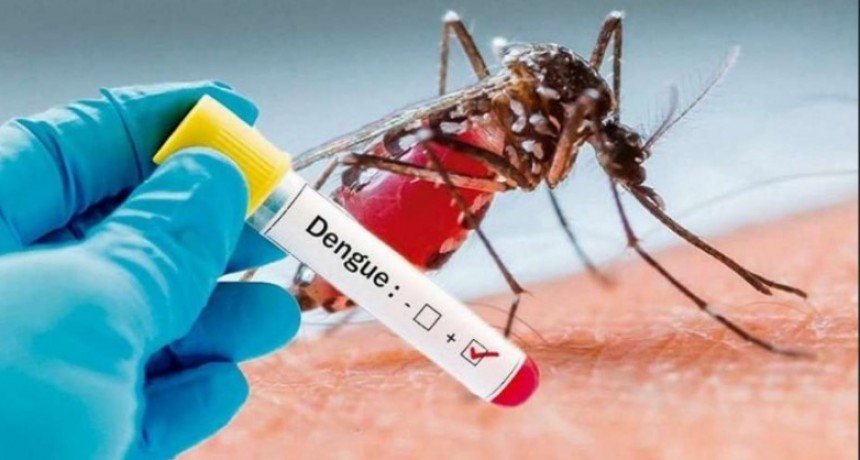 El último parte de casos de dengue se mantuvo sin grandes variaciones respecto de la semana anterior