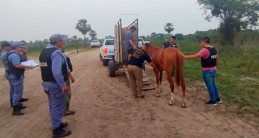 Detuvieron a tres personas y secuestraron un caballo en una carrera clandestina