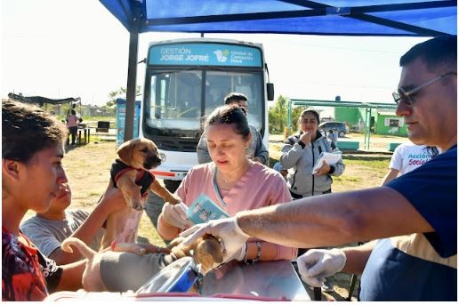 El operativo de castración programado para este martes en el barrio Itatí se pospuso para el jueves, por cuestiones climáticas