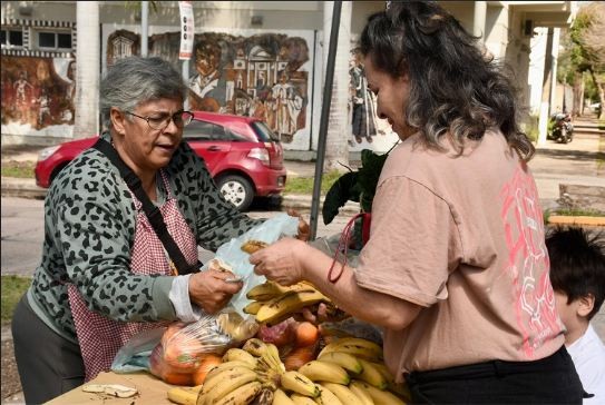 NUEVA SEMANA DE BOLSONES SALUDABLES EN DIVERSOS PUNTOS DE LA CIUDAD
