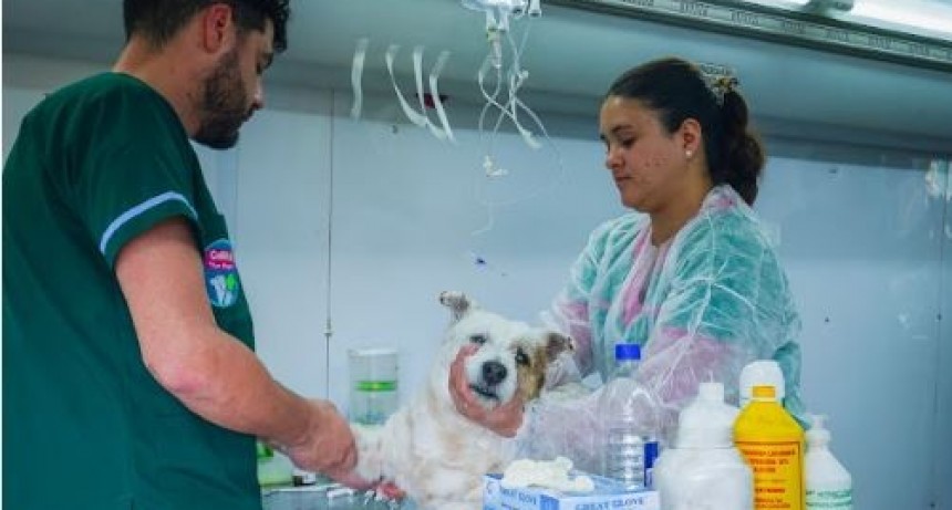 El Castramóvil Municipal desplegó un operativo masivamente concurrido en el B° Itatí