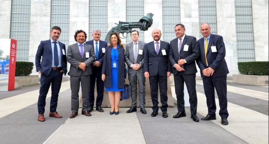 Estados Unidos: Insfrán finalizó la misión con visita a la Americas Society y la ONU