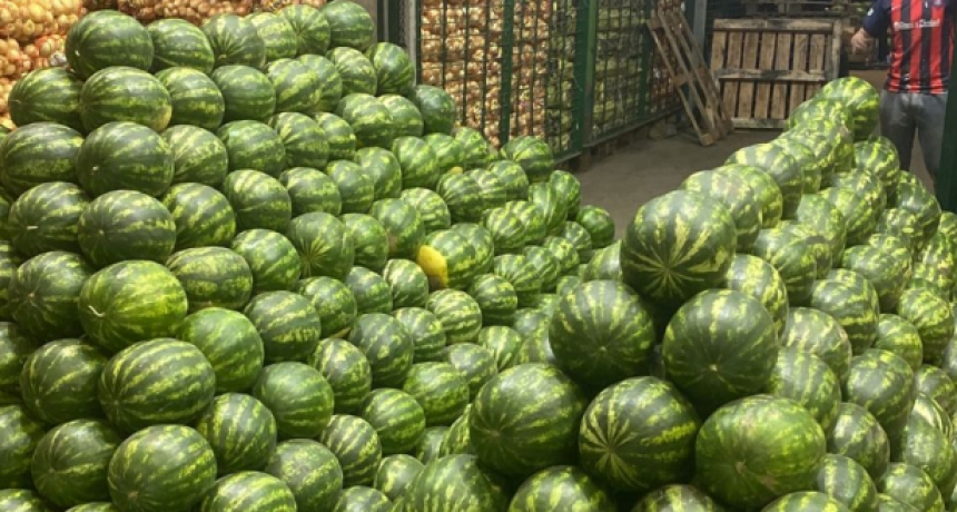 Se entregaron 250 mil kilos de sandías en la primera semana de primicias