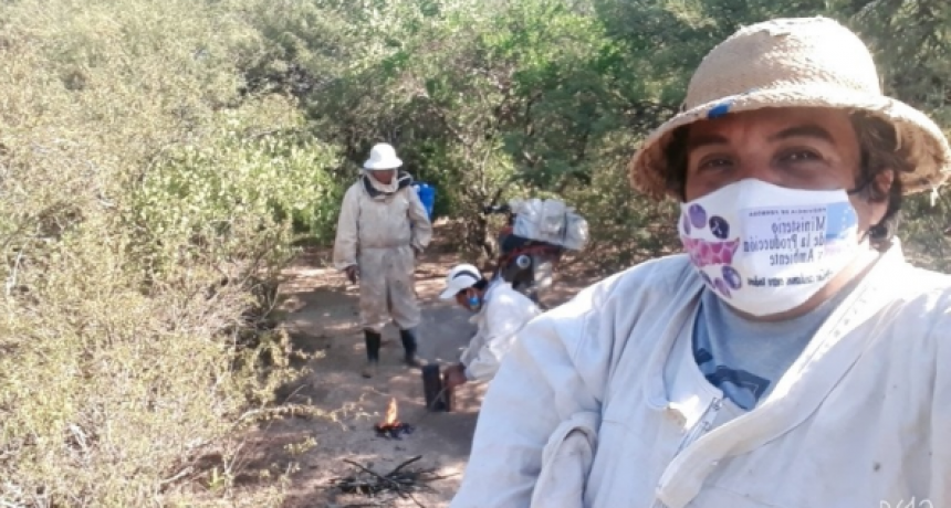 Con apoyo del Gobierno provincial, apicultores del oeste están en plena cosecha de miel