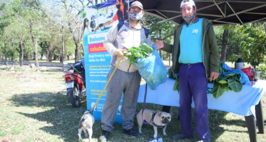 Esta semana Bolsones Saludables en distintos puntos de la ciudad
