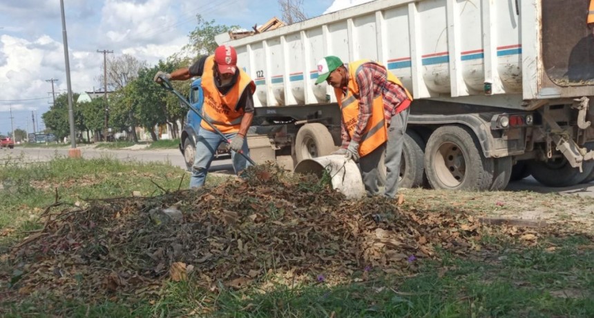 Intensos operativos de higiene integral en diferentes barrios de la ciudad