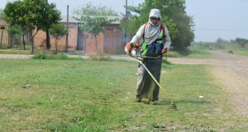 Se activaron trabajos de desmalezado en avenidas principales y espacios verdes de barrios de la ciudad