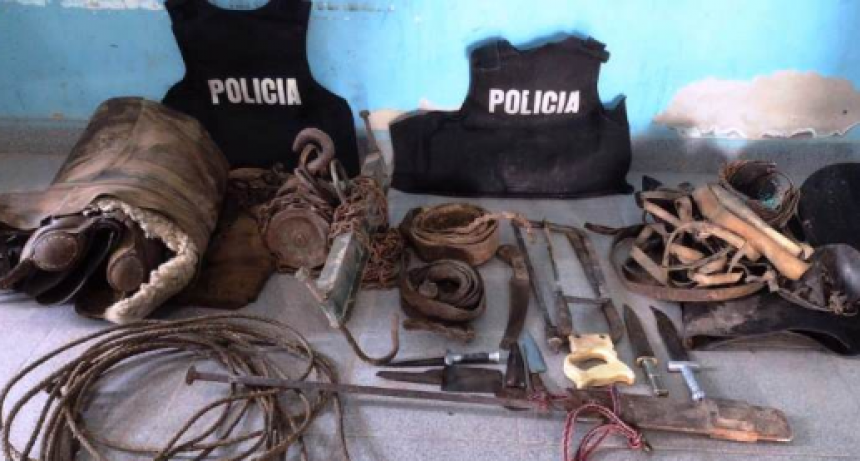 Esclarecen hecho de abigeato, recuperan siete vacunos en pie y dos caballos