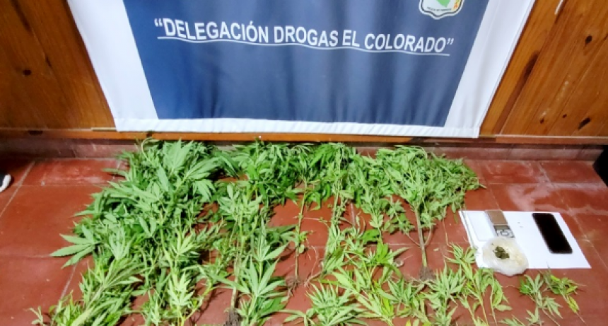 Desarticularon presunto centro de distribución de estupefacientes