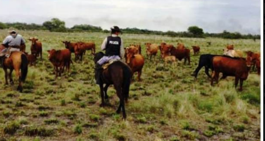 Policías realizaron recorridas en campos ganaderos en prevención de delitos rurales