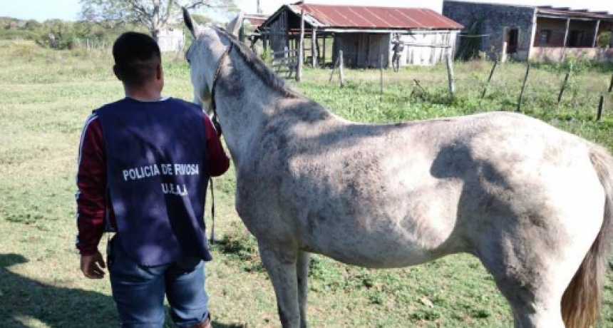 Efectivos de UEAR esclarecieron dos hechos delictivos