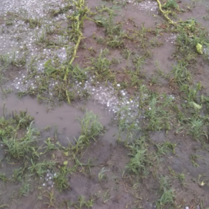 El Gobierno provincial avanza con la asistencia a productores afectados en Villa Dos Trece