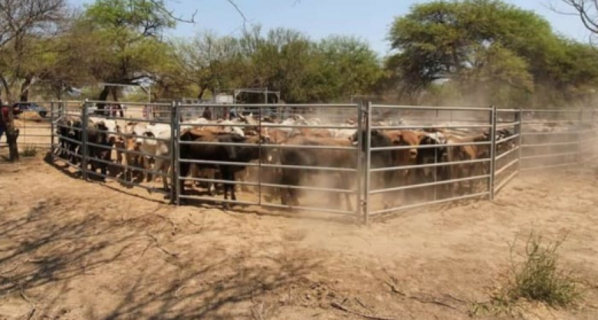 Se realizará un remate de productores paipperos en El Chorro