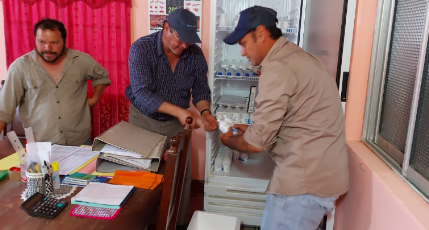 Entrega de vacunas contra la fiebre aftosa para fortalecer la sanidad en frontera