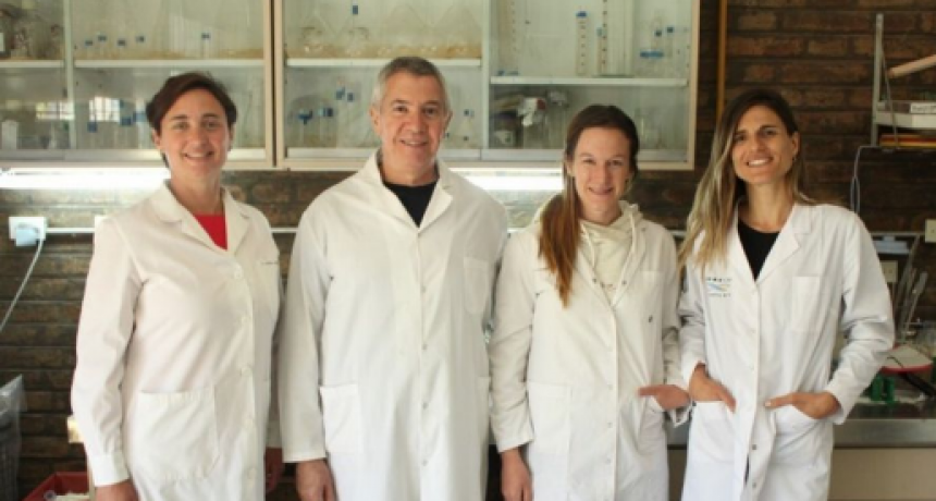 Descubren un nuevo beneficio de la yerba mate: cuáles son sus efectos contra el cáncer de próstata