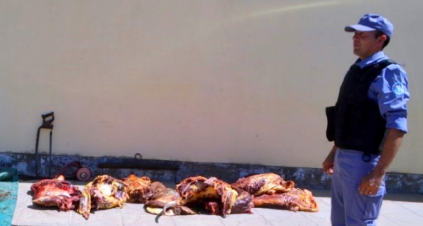 Cuatro hombres fueron detenidos con varios kilos de carne vacuna de dudosa procedencia