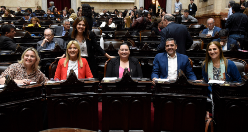 Fernández Patri: “Es un presupuesto realista con obras estratégicas para Formosa”