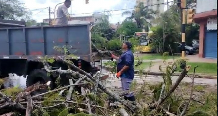 Rápido accionar de la Municipalidad tras la fuerte tormenta de lluvia y viento