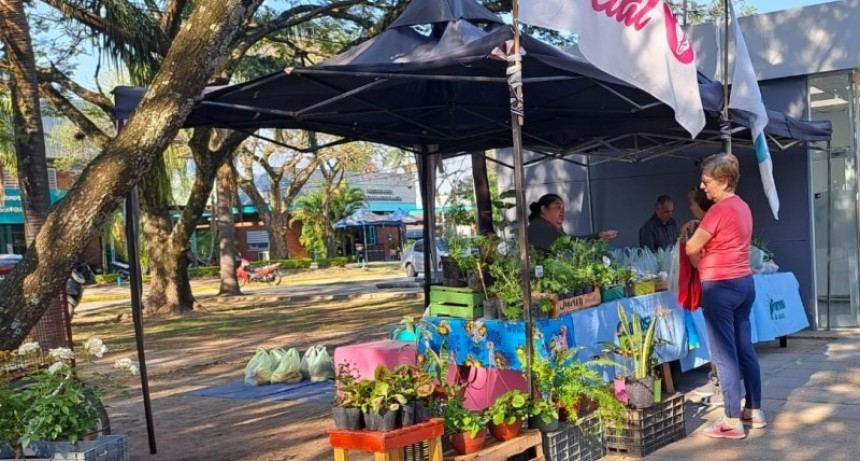 Esta semana vuelven los tradicionales Bolsones Saludables con nuevos puntos de venta