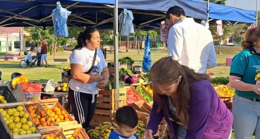 Maratón de “El Mercado en tu Ciudad”, edición especial con pescados de mar