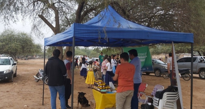 Preparan feria apícola y ganadera en Lote 8