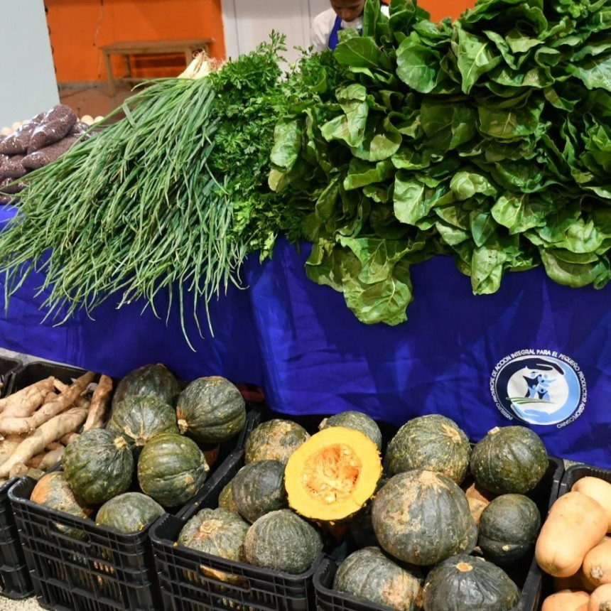 IPAIPPA: Se entregaron carnets a quienes se capacitaron en manipulación segura de alimentos
