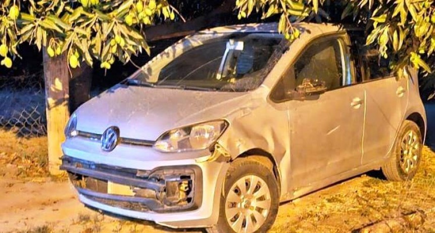 La Policía detuvo a un hombre y secuestró el automóvil utilizado en un hecho de arrebato
