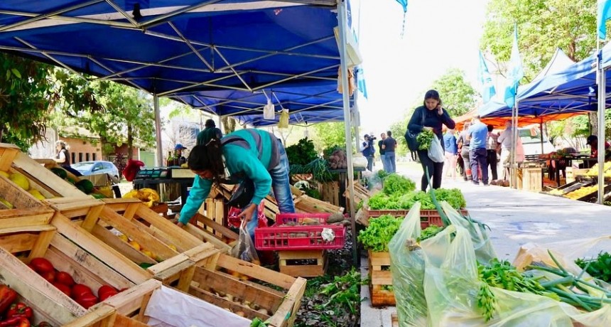 Buena recepción de la maratón de “El Mercado en tu Ciudad”
