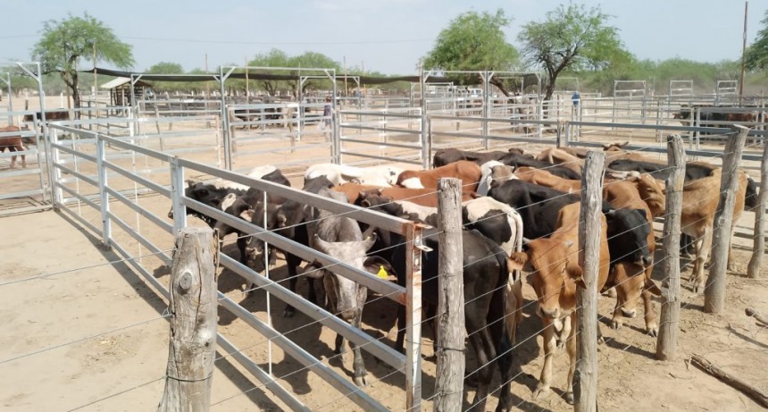 Ramón Lista: La comunidad de Lote 8 celebrará este sábado un gran encuentro productivo
