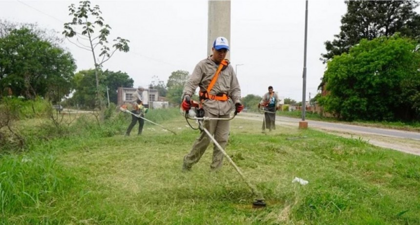 Múltiples trabajos para el mantenimiento de espacios verdes en la ciudad