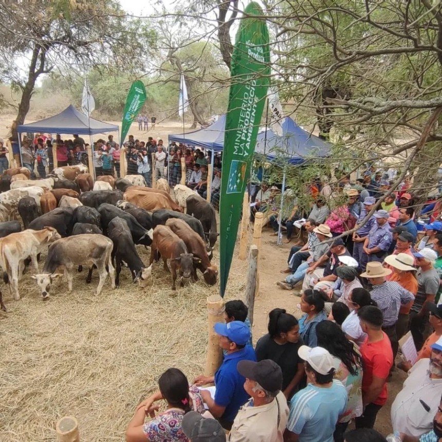 La feria ganadera paippera de Lote 8 “fue una gran fiesta del Modelo Formoseño”