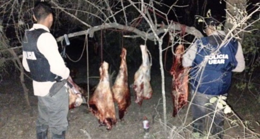 Abigeos se enfrentaron a los tiros con efectivos de la Unidad Especial de Asuntos Rurales