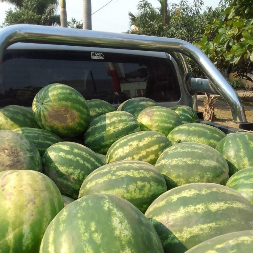 Soberanía Alimentaria Formoseña acercará la venta a los barrios San Antonio y San Juan Bautista